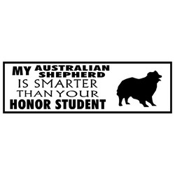 "Honor Student" Bumper Sticker Display Re-order Items
