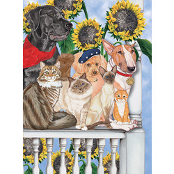 Dog and Cat-Summer Breeze Note Cards