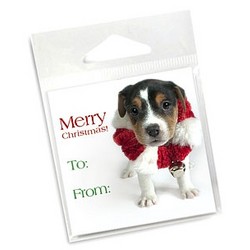 10 Pack of Holiday Gift Tags - Jingle Bell Puppy