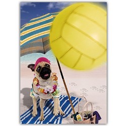 Birthday Card - Pug at Beach