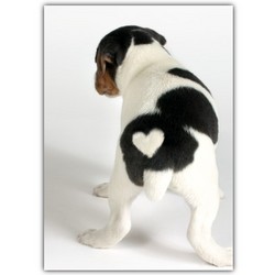 Blank Card - Puppy w/ Heart