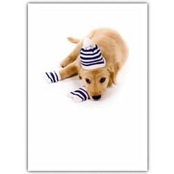 Christmas Card - Golden Puppy Blue without you