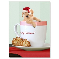 Christmas Card - Golden Puppy in Mug