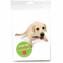 Consumer Friendly 10-pack - Lab Pup Burps