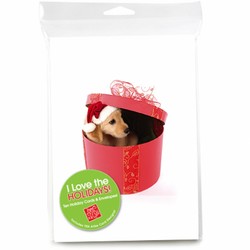 Consumer Friendly 10-pack - Golden Puppy Red Box