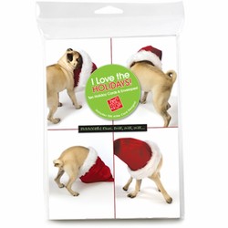 Consumer Friendly 10-pack - Pug 4 squares SNIFF