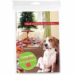 Consumer Friendly 10-pack - Beagle Thank Goodness