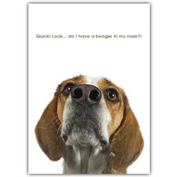 Friendship Card - Beagle Booger