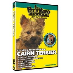 Cairn Terrier - Everything You Should Know
