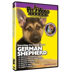 German Shepherd - Everything You Should Know
