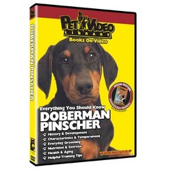 Doberman Pinscher - Everything You Should Know
