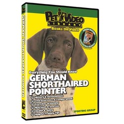 German Shorthaired Pointer - Everything You Should Know