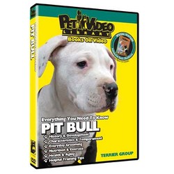 Pit Bull - Everything You Should Know
