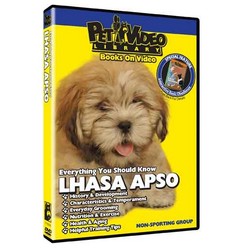 Lhasa Apso - Everything You Should Know