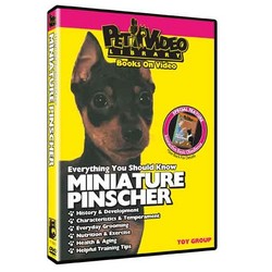 Miniature Pinscher - Everything You Should Know