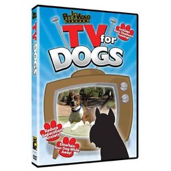 TV for Dogs