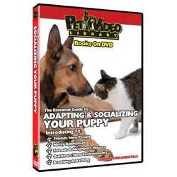 Adapting & Socializing Your Puppy