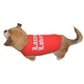 Latin Lover Dog Tank Top: Dogs Pet Apparel 
