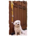 Classic Poochie-Bells: Dogs Training Products 