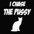 i_chase_the_pussy_large.jpg