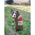 Army Sweater: Dogs Pet Apparel 