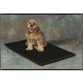Polyester Fiber-Terry Crate Mat w/Non Skid Bottom: Dogs Travel Gear 