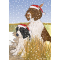 Englsih Springer Spaniel<br>Item number: C921: Dogs Holiday Merchandise 