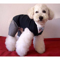 Tuxedo Suite: Dogs Pet Apparel 