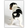 Blank Card - Puppy w/ Heart<br>Item number: DS2-01BLANK: Dogs