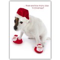 Christmas Card - Jack in Santa Shoes<br>Item number: DS3-19XMAS: Dogs Gift Products 