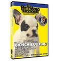 French Bulldog - Everything You Should Know<br>Item number: 71556: Dogs Training Products 