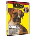 Boxer - Everything You Should Know<br>Item number: 71515: Dogs