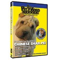 Chinese Shar-Pei - Everything You Should Know<br>Item number: 71555: Dogs