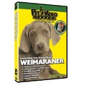 Weimaraner - Everything You Should Know<br>Item number: 71533: Dogs Training Products 