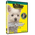 West Highland White Terrier - Everything You Should Know<br>Item number: 71559: Dogs Training Products 