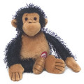 Chimp Plush Toy: Dogs Toys and Playthings Squeak Toys 