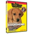 Dachshund - Everything You Should Know<br>Item number: 71514: Dogs Training Products DVDs 