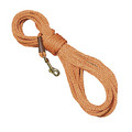 Trainer Check Cord: Dogs Training Products Collars & Leads 