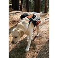 KURGO WANDER PACK DOG BACKPACK<br>Item number: KUR0028: Dogs Travel Gear Miscellaneous 