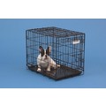 ProValu Crate - Black: Dogs Travel Gear Crates 
