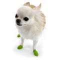 PAWZ Dog Boots: Featured Items