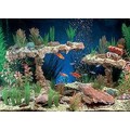 TANK-TERRACE™: Fish Aquarium Products Decorations 