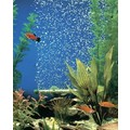 BUBBLE-WALL: Fish Aquarium Products Accessories 