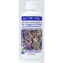 Bacter Vital