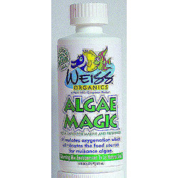 Algae Magic