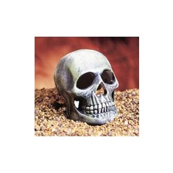 DECO-REPLICAS™ - Skull