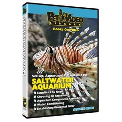 Set-Up Aquascape & Maintain Saltwater Aquarium