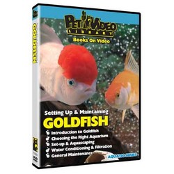 Set-Up & Maintain Goldfish