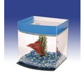 BETTA BOW-FRONT ACRYLIC CUBE TANK<br>Item number: BCT1: Fish