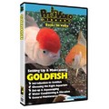 Set-Up & Maintain Goldfish<br>Item number: 71560-GOLD: Fish